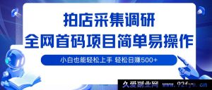 拍店数据采集调研首码项目，操作超简单，新手小白稳赚日入500+-每日必学网