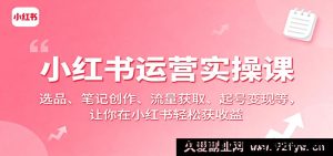 小红书运营实战课：爆款选品、笔记撰写、流量提升、账号变现全攻略，轻松在小红书赚钱-每日必学网