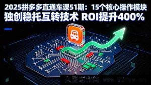 （16020期）2025拼多多直通车51期：剖析15大核心模块 新创技术让ROI猛增4倍-每日必学网