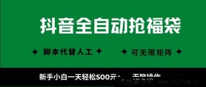 （16008期）抖音福袋全自动抢单玩法，零基础也能日赚500+，立马实操-每日必学网