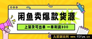 （15977期）闲鱼爆款货源玩法，日赚千元，上架速出单-每日必学网