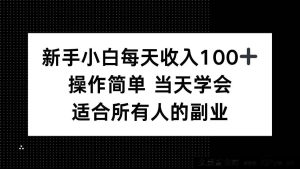 （15937期）零基础小白日赚百元+，简易操作当日上手，全民可做的副业-每日必学网