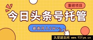 （15905期）【头条号代运营】我供素材你发文，日花5分钟，最高稳赚1W+-每日必学网