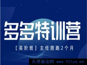 纪主任-多多特训营2025年9月20更新(价值5288元)_-每日必学网