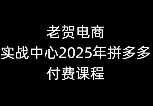 图片[1]-老贺电商实战中心2025年拼多多付费课程_-每日必学网