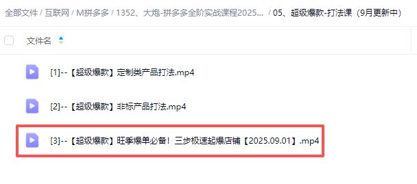 图片[5]-大炮电商-拼多多全阶实战课程2025年9月_-每日必学网