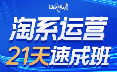 图片[5]-白凤电商-淘系运营21天速成班2025年8月更新(价值4999元)_-每日必学网