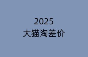 2025版大猫淘差价课程无货源电商2025年8月(价值3980元)_-每日必学网