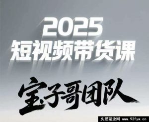 宝子哥头部团队短视频带货2025年7月更新(价值2980元)_-每日必学网