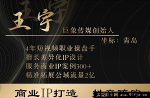 王宇巨象传媒商业IP线下课_-每日必学网