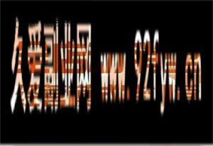 阿呆电商-全店动销型经营模式6月25-26日广州线下课(价值9800元)_-每日必学网