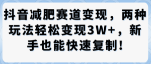 抖音减肥赛道变现，两种玩法轻松变现3W+，新手也能快速复制-每日必学网