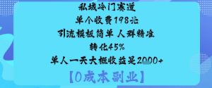 私域冷门赛道:单个收费198米引流模板简单人群精准转化45%单人一天大概收益是1k+-每日必学网