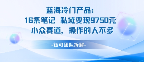 久爱副业网,网赚项目,网赚论坛博客网分享蓝海项目：16条笔记私域变现9750米小众赛道操作的人不多