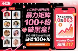 小红书暴力矩阵起号，教你打通引流-变现速通，日锁100+粉，破流量黑盒-每日必学网