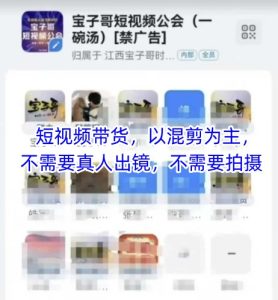 宝子哥头部团队短视频带货，以混剪为主，不需要真人出镜，不需要拍摄【更新9月】-每日必学网