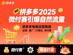 拼多多2025微付费引爆自然流量，拼多多电商运营教程，运营、推广、打爆品、微付费（更新）-每日必学网