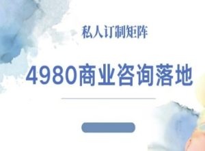 4980商业咨询师落地课程-ip运营高客单教程-每日必学网