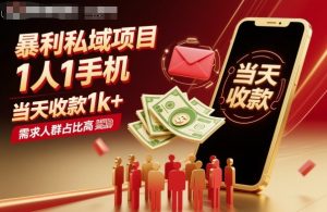 暴利私域项目1人1手机，当天收款1k+，需求人群占比高，当天就能见到钱-每日必学网