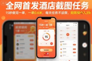 全网首发酒店截图任务，15秒做完一单，一单0.6米，每天任务不设限，矩阵操作日入3张【揭秘】-每日必学网