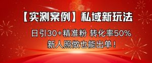 【实测案例】私域新玩法，日引30+精准粉，转化率50%，新人照做也能出单！-每日必学网