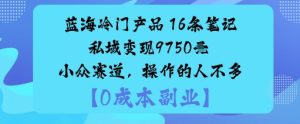 蓝海冷门产品：16条笔记私域变现9750米小众赛道，操作的人不多-每日必学网