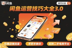 闲鱼运营技巧大全3.0，引爆店铺流量，手把手教你玩转二手电商平台-每日必学网