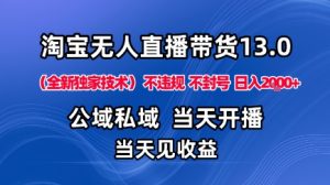 淘宝无人直播13.0，公域私域技术，不封号，不违规布局下半年旺季赛道，日入1K+（独家技术）【揭秘】-每日必学网