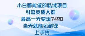 2025年小白都能做的私域项目引流负债人群最高一天变现1k+高变现难度低当天就能见到钱上手快-每日必学网