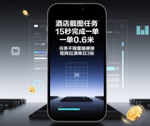 酒店截图任务，15秒完成一单，一单0.6米，任务不限量随便接，矩阵拉满单日3张【揭秘】-每日必学网