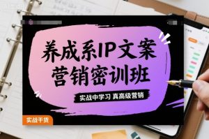 养成系IP文案营销密训班，实战中学习真高级营销-每日必学网