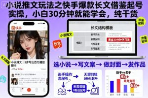 小说推文玩法之快手爆款长文借鉴起号实操，小白30分钟就能学会，纯干货-每日必学网
