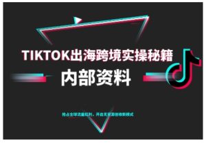 TikTok跨境电商0-1搭建运营，TK出海跨境实操秘籍（10月更新）-每日必学网