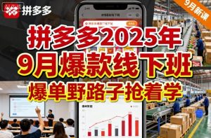 拼多多2025年9月爆款线下班，爆单野路子抢着学-每日必学网