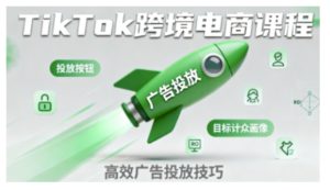 TikTok跨境电商全流程实操课，助力从业者掌握TikTok跨境电商运营核心技能，高效开展业务-每日必学网