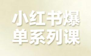 小红书爆单系列课，聚焦小红书电商全链路增长-每日必学网