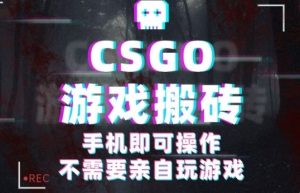 CSGO游戏挂G捡漏，单日扫货5张+，年底小高峰上车可吃肉，手机即可操作，兼职副业创业网创【揭秘】-每日必学网