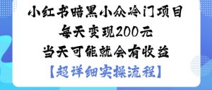 小红书暗黑小众冷门项目每天变现2张当天可能就会有收益-每日必学网