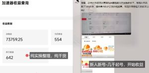 游戏加速器项目4.0_最新打法思路（爱玩游戏也能边玩边被动收益）-每日必学网