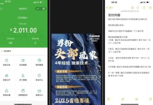 外面收费980全新男粉变现项目,竞争小,利润高,多种方式变现,独家技术-每日必学网