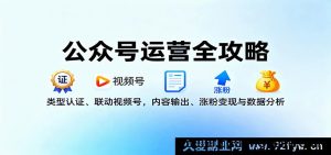 公众号运营从入门到精通：账号认证、视频号协同、内容创作、快速涨粉引流变现与数据复盘技巧-每日必学网