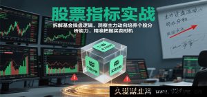 股票技术指标实战教程 基金操盘核心逻辑解析 识破主力动向提升个股分析技能 精准把握买卖点（2024最新更新）-每日必学网