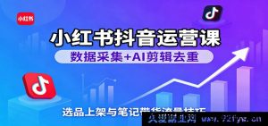 小红书抖音运营教程：从数据分析到AI剪辑视频，爆款选品秘籍与笔记带货涨粉变现-每日必学网