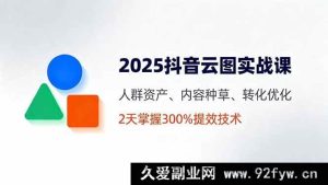 （16063期）2025抖音云图实操指南，人群运营、种草策略、转化提效，2天精通300%增长技巧-每日必学网