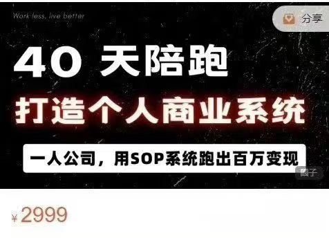 图片[2]-40天陪跑打造个人商业系2025年(价值2999元)_-每日必学网