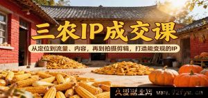 三农短视频账号变现教程：精准定位+爆款内容创作+流量获取技巧+拍摄剪辑方法，教你打造高转化赚钱IP-每日必学网