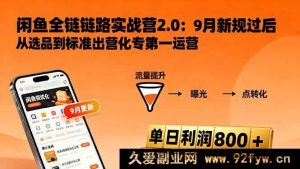 （16265期）闲鱼变现秘籍3.0：商品链接打造、流量引爆技巧、盈利路径搭建，日赚800+实战指南-每日必学网