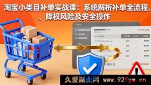 （16239期）淘宝小类目补单实操教程：全流程拆解、降权规避及安全玩法-每日必学网