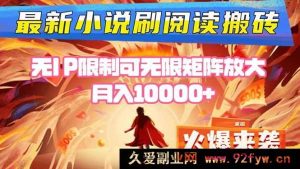 （16237期）小说阅读实操项目单设备操作日赚200到400元无需IP绑定可矩阵化批量放大-每日必学网