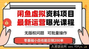 （16235期）2024闲鱼虚拟资料实操变现技巧，单账号多店运营零囤货，多渠道盈利内部实操方法-每日必学网